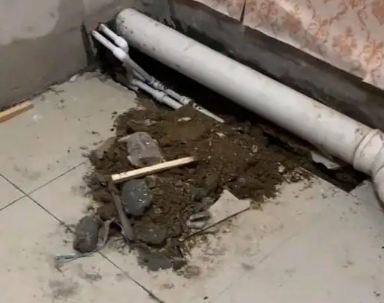 昭平卫生间漏水检测哪家好